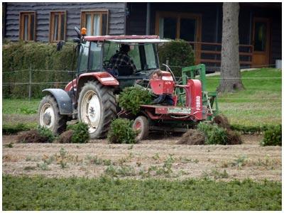 Clôture sur 5 hectares